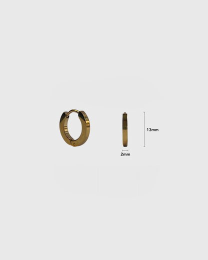 Eon gold earrings (pair)