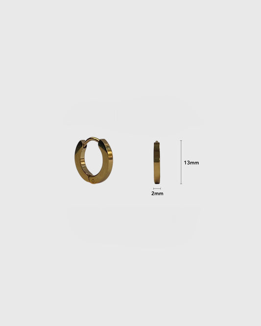 Eon gold earrings (pair)